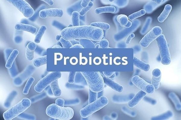 probiotic là gì