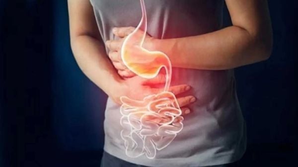 probiotic giúp cải thiện sức khỏe đường ruột