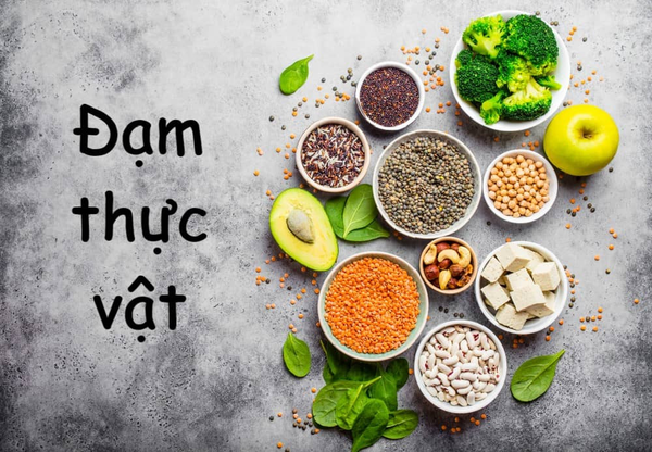 đạm thực vật
