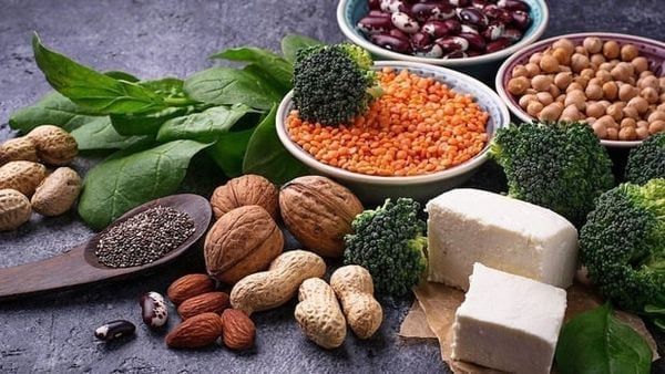 Protein thực vật là nguồn cung cấp chất đạm dồi dào mà cơ thể chúng ta có thể thu nhận từ các loại thực phẩm có nguồn gốc thực vật.