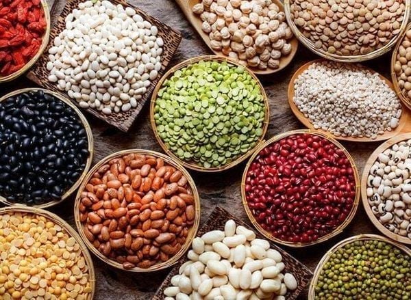 Các loại đậu rất giàu protein