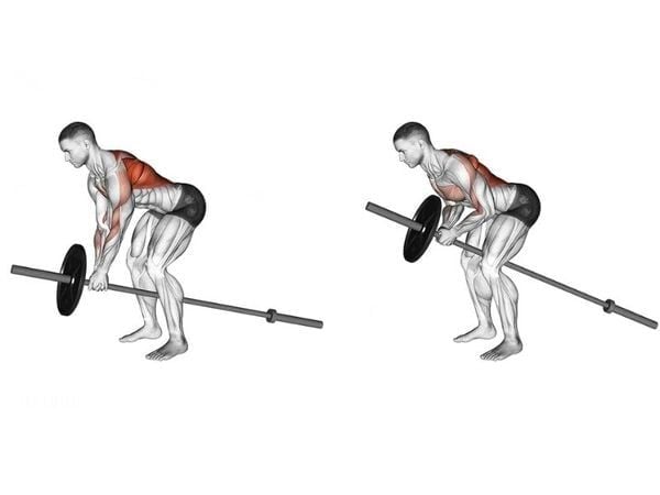 bài tập T-bar Row