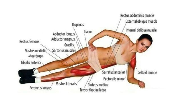 Side Plank mang đến nhiều lợi ích đối với sức khỏe người tập