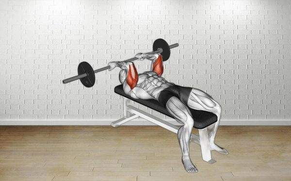 Bài tập Skullcrusher giúp phát triển cơ tam đầu mạnh mẽ