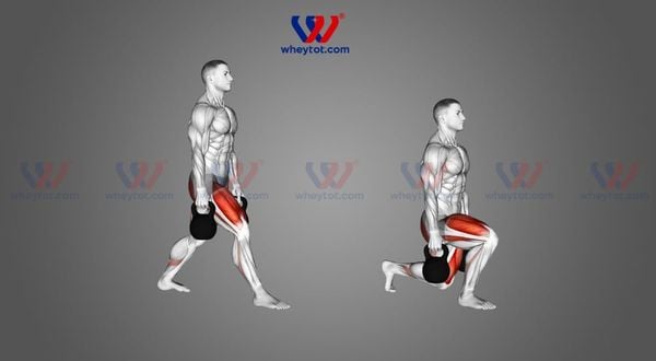 Split Squat