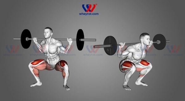 Hướng dẫn tập Squat đúng cách