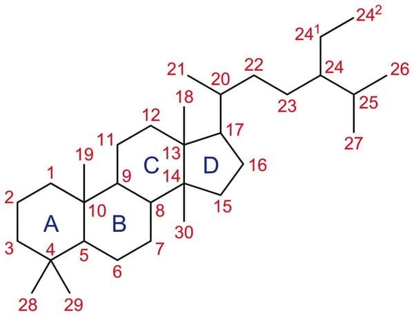 Sterol là một chất hữu cơ có thể được tìm thấy trong các sinh vật nhân thực