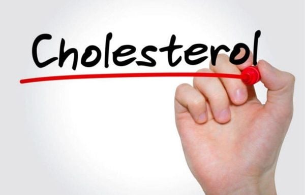 Cholesterol là loại sterol động vật phổ biến nhất