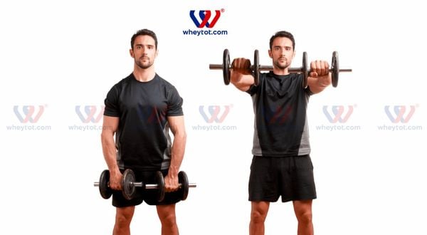 Bài tập ngực với tạ đơn Squeeze Dumbbell Press