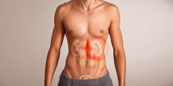 Whey protein có hại thận không