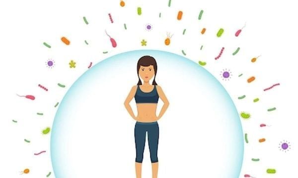 Sức đề kháng tốt giúp duy trì sức khỏe ổn định