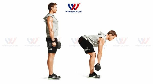 Bài tập lưng xô với tạ đơn: Deadlift