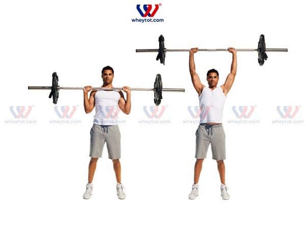 Bài tập ngực: đẩy tạ đòn qua đầu (Overhead Press)