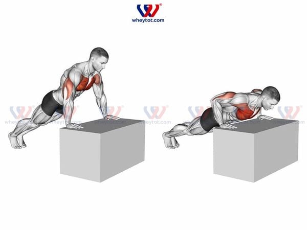 Bài tập ngực dưới chống đẩy trên bục