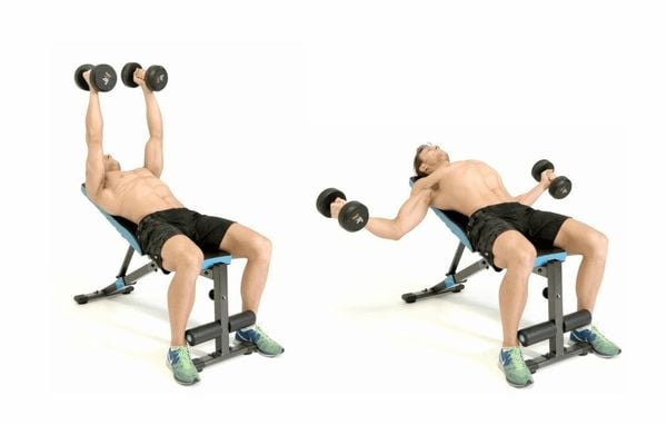 Bài tập cơ ngực trên - Incline Dumbbell Fly