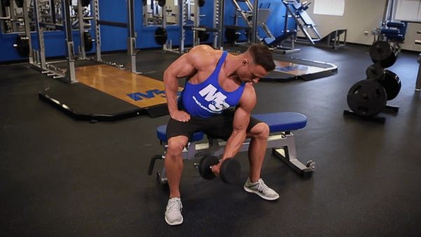 Bài tập tay trước Incline Dumbbell Curl