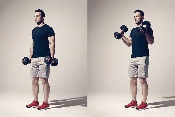 Bài tập tay trước Hammer Curl
