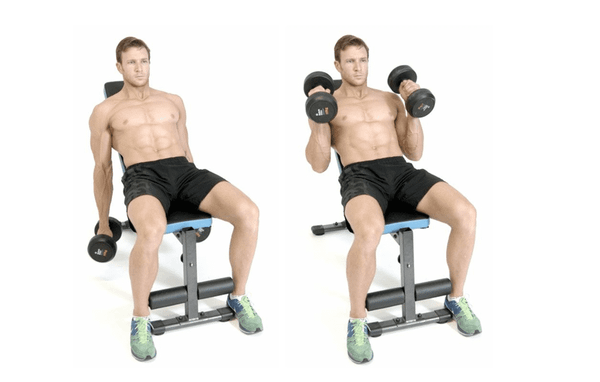 Bài tập tay trước với tạ đơn: Incline Hammer Curl