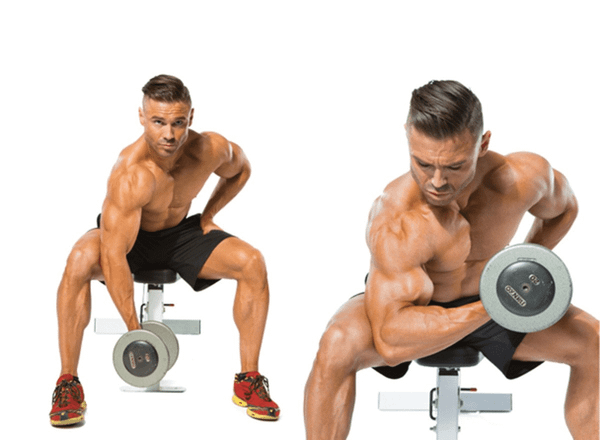 Bài tập tay trước với tạ đơn: Concentration Curls