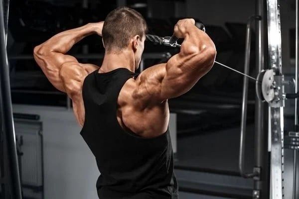 : bài tập xô hiệu quả Face Pulls