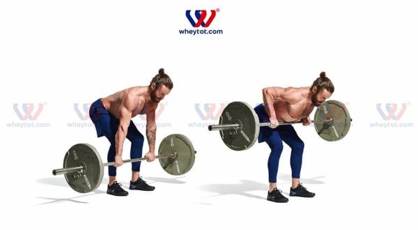 Bài tập cơ lưng xô cho nam: Bent Over Barbell