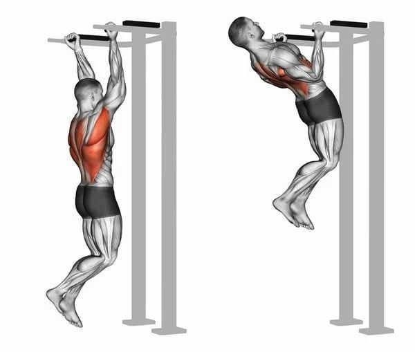 bài tập Chin Up