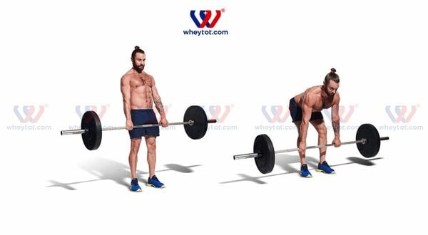 Bài tập lưng xô: Deadlift