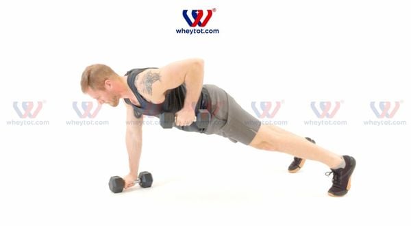 Bài tập lưng xô: Dumbbell Renegade Row