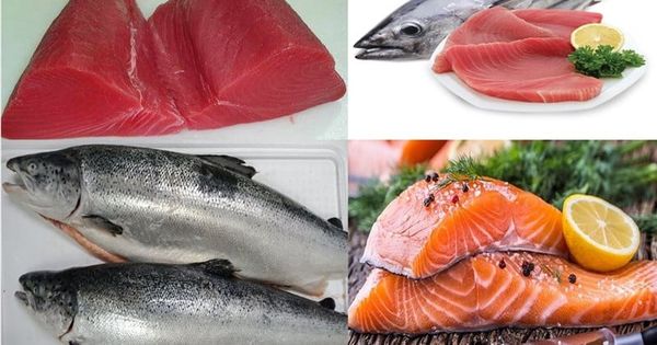 Cá béo là thực phẩm giàu magie nên ăn 2-3 lần mỗi tuần