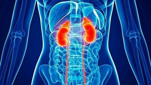 NAC giúp thải độc, tốt cho thận