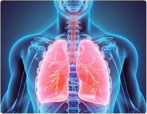 NAC hỗ trợ điều trị bệnh phổi tắc nghẽn mãn tính