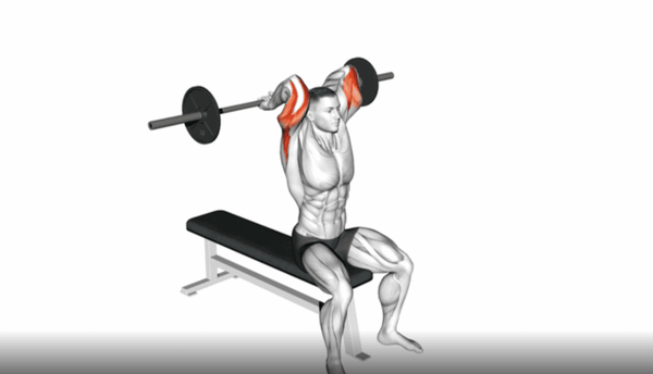 Overhead Tricep Extension tập trung vào đầu dài của cơ tam đầu