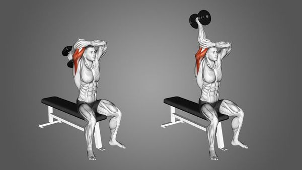 Tricep Extension tác động trực tiếp lên nhóm cơ tam đầu