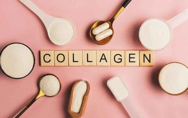 Collagen là loại protein chính cấu tạo nên nhiều cơ quan cơ thể