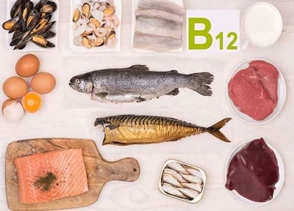vitamin B12 là gì