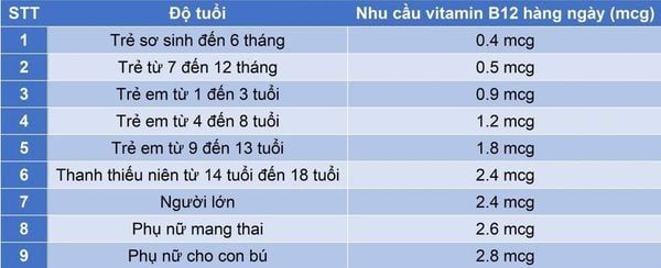 nhu cầu vitamin B12 hàng ngày