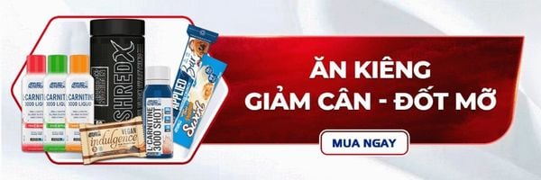 Mua bột protein thực vật ở đâu