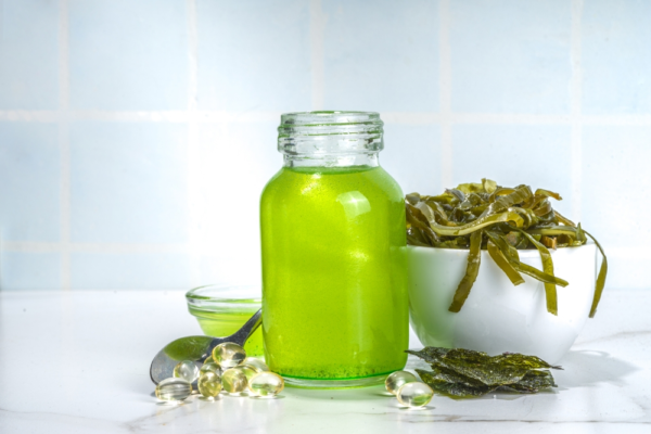 Dầu tảo có thể thay thế dầu cá không?