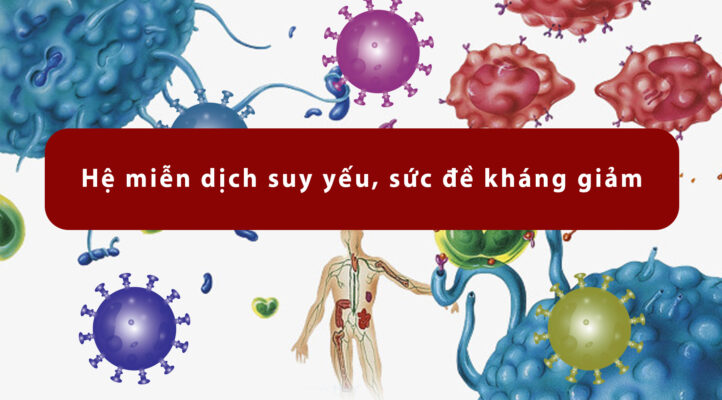 Hệ miễn dịch yếu và những điều cần biết