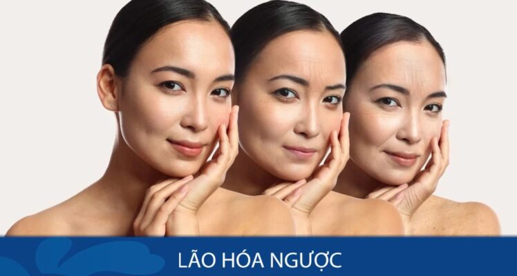 Lão hóa ngược - Bí Quyết Là Gì?