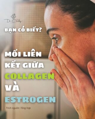 Mối liên hệ giữa estrogen và collagen