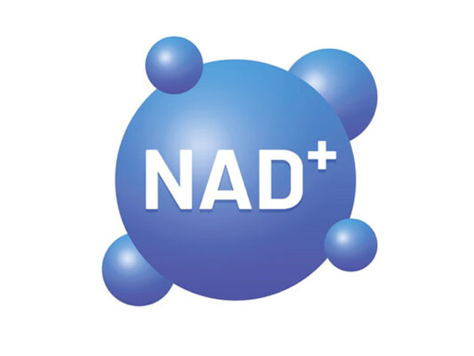 NAD+ - Chiếc xe vận chuyển năng lượng cho tế bào