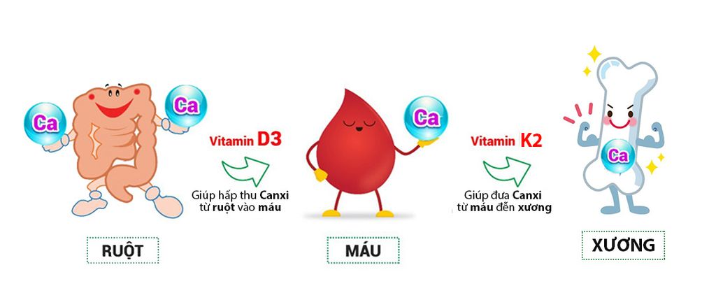 Vitamine D3 - 