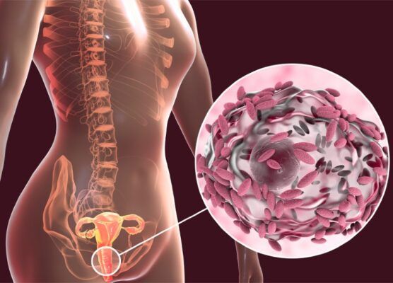 Microbiome có vai trò lớn trong sức khỏe phụ nữ