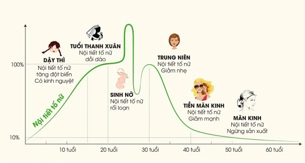 nội tiết tố nữ và sự thay đổi qua từng giai đoạn