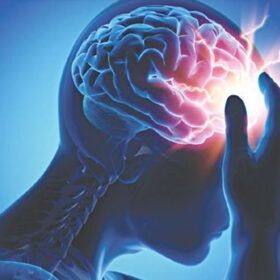 Magiê ảnh hưởng đến các con đường dẫn truyền thần kinh kích thích và ức chế chính