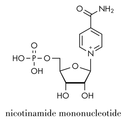 NAD+ (nicotinamide adenine dinucleotide) là một phân tử được tìm thấy trong mọi tế bào của cơ thể