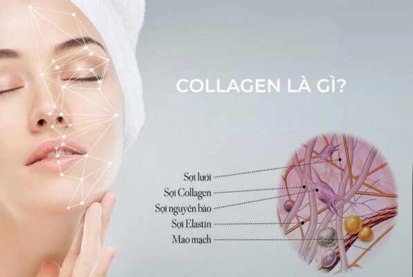 Collagen là gì và vai trò đối với làn da?