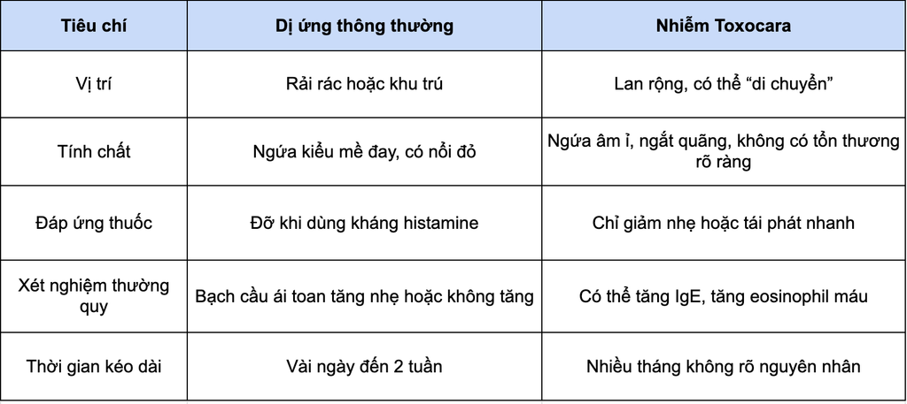 Ngứa do Toxocara khác gì dị ứng thông thường?
