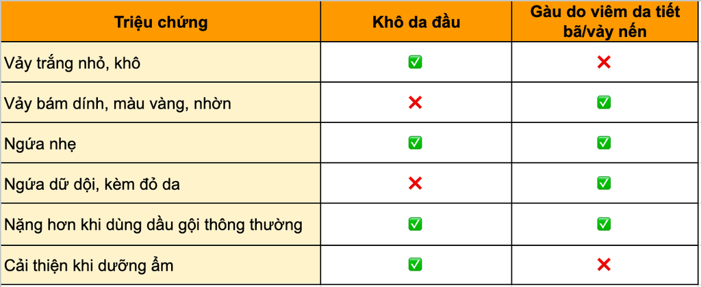 Phân biệt khô da đầu và gàu – Khi nào cần gặp bác sĩ da liễu?